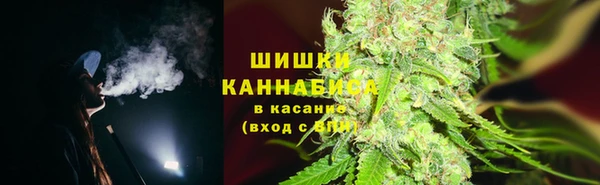 соль ск Сосновка